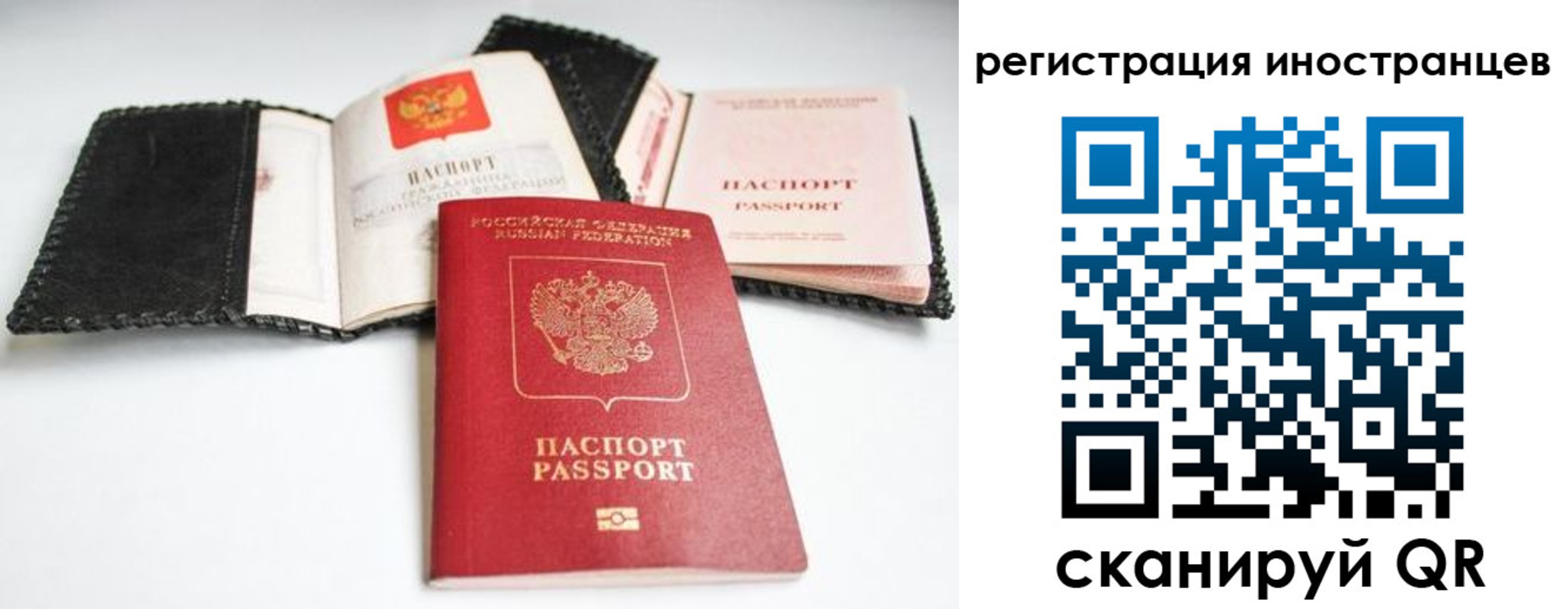 прописка гарантия в Дрезне